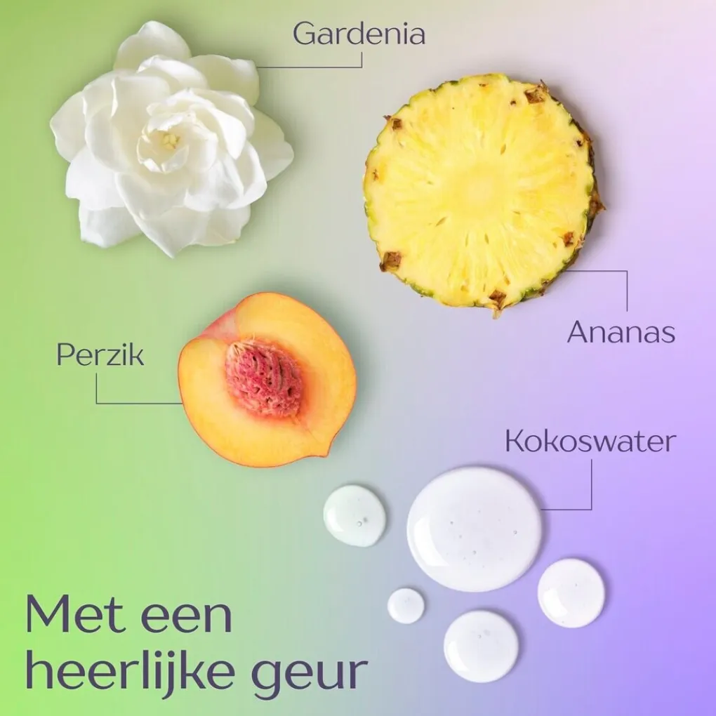 Andrelon Shampoo>Andrélon Langer Fris Shampoo