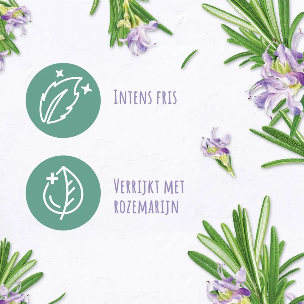 Andrelon Shampoo>Andrélon Pro Nature Rosemary Refresh Shampoo