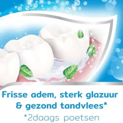 Aquafresh Tandpasta><noscript><img width=