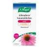 A.Vogel Natuurlijke Supplementen|Weerstand En Of Energie>Echinaforce Sterk** + Vitamine C Kauwtabletten