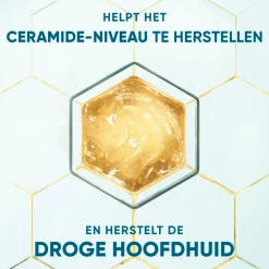 Head & Shoulders Shampoo><noscript><img width=