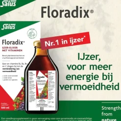 Floradix Mineralen><noscript><img width=