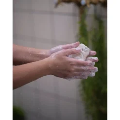 Foamie Shampoo><noscript><img width=