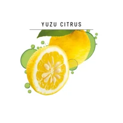 Guhl Shampoo><noscript><img width=