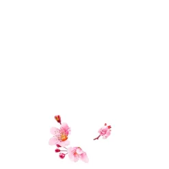 Guhl Conditioner><noscript><img width=