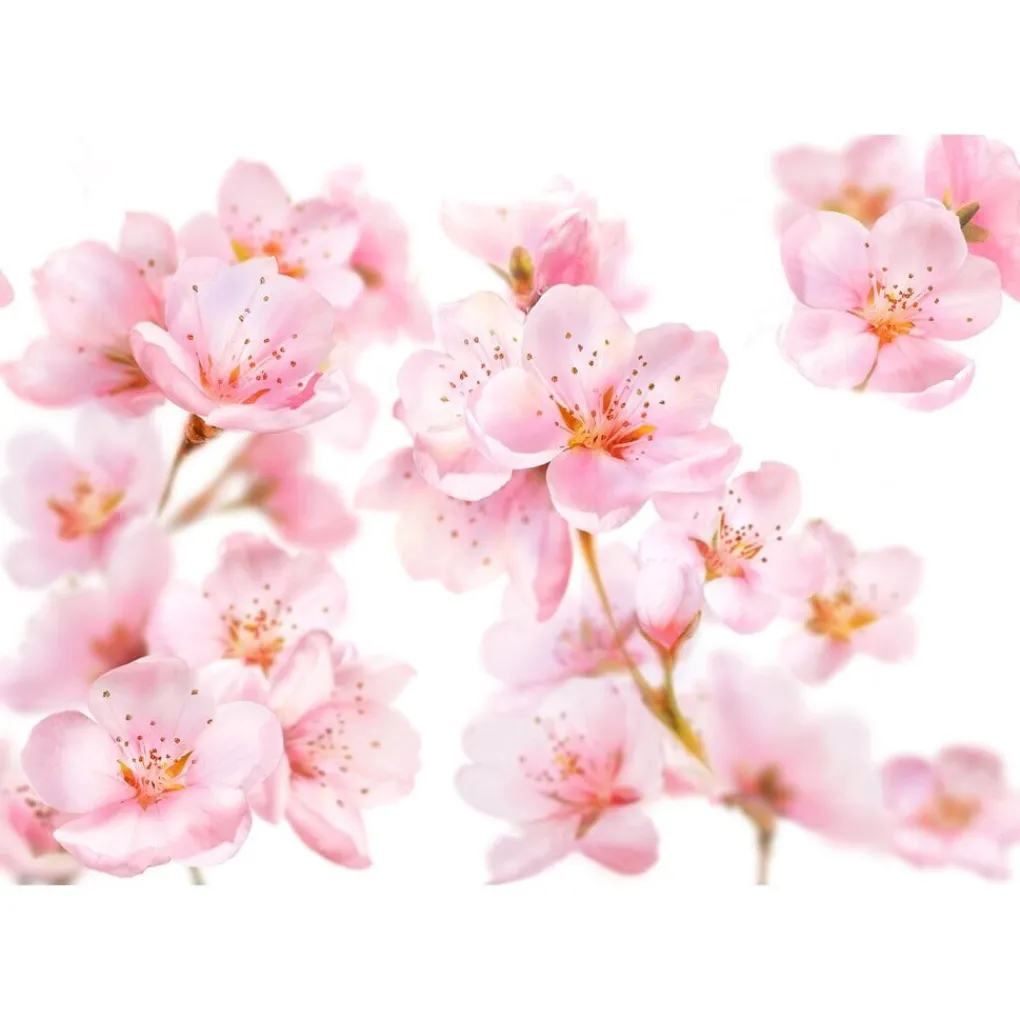 Kneipp Handcrèmes>Soft Skin Softening Hand Cream