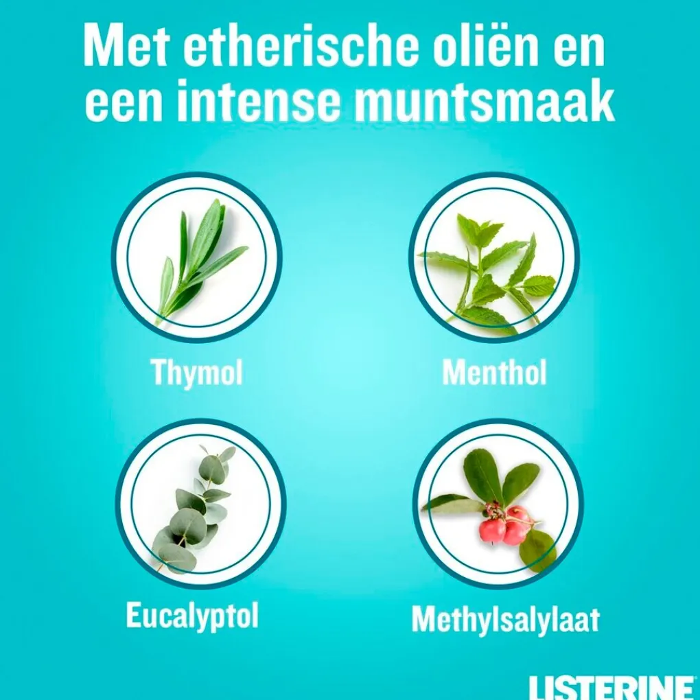 Listerine Mondwater En Mondspray>Cool Mint Mondspoeling