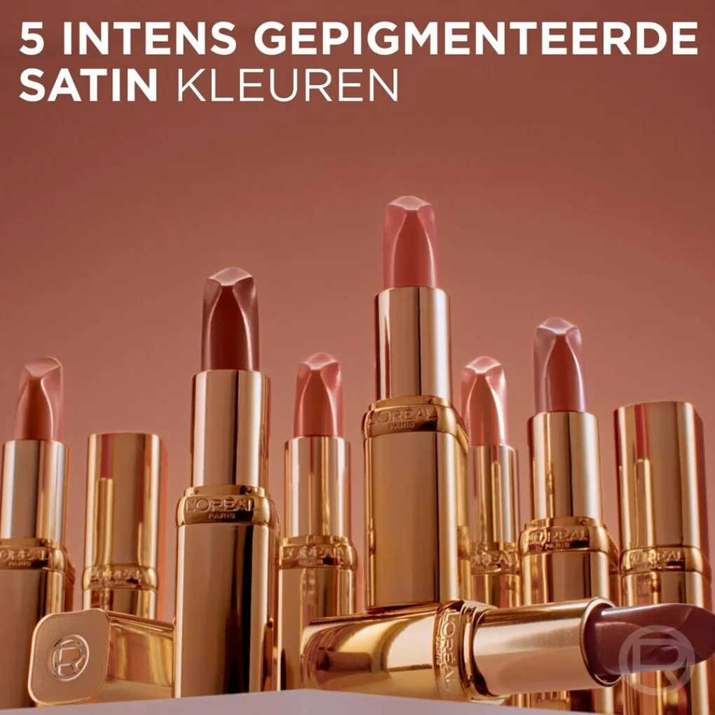 L'Oreal Lipmake-Up>L'Oréal Paris Color Riche Nude Intense 300 Le Rouge Paris Satin Lippenstift