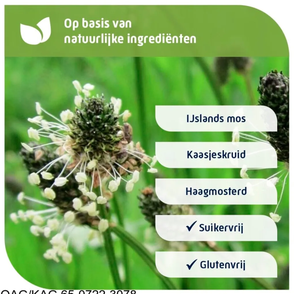 Natterman Luchtwegen>Direct Voor Alle Hoest Suikervrije Siroop