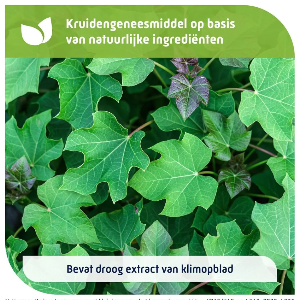 Natterman Luchtwegen>Hedera Stroop