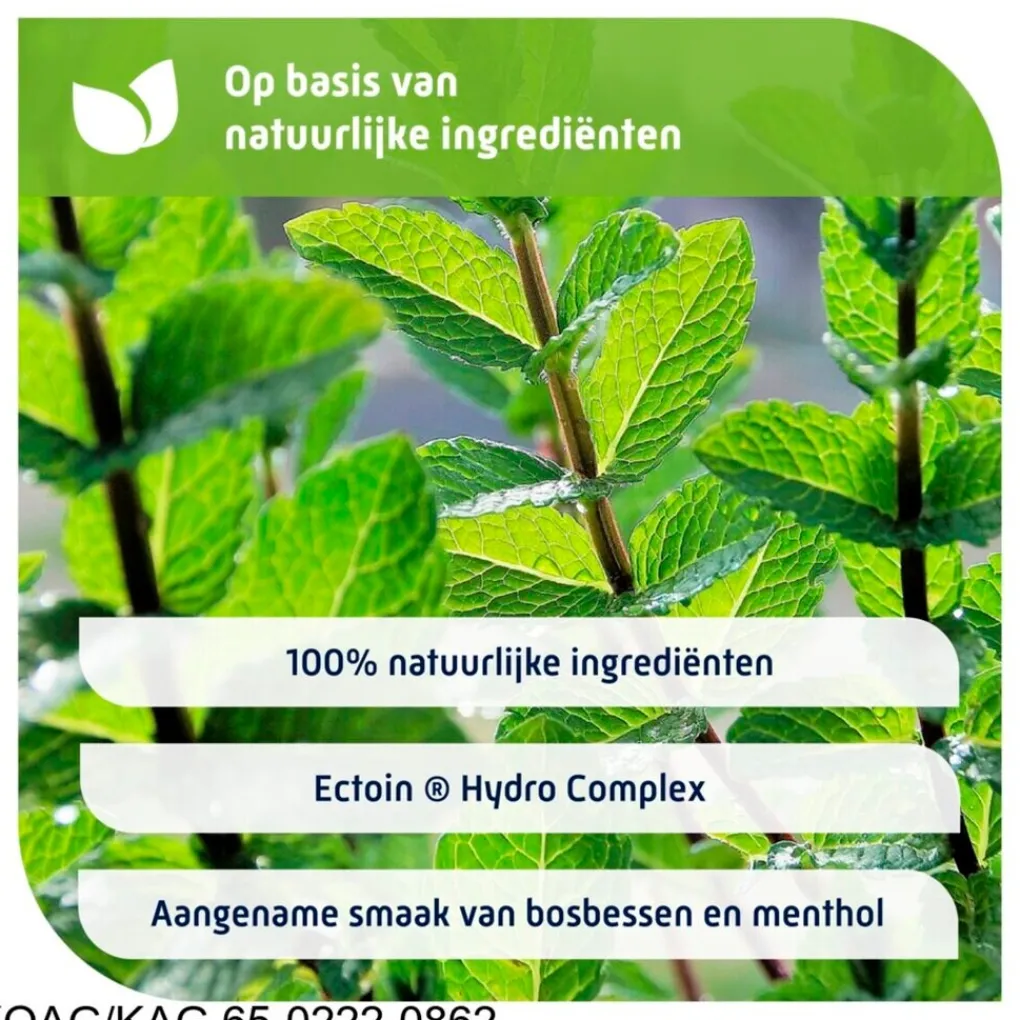 Natterman Luchtwegen>Hoest en Keel Pastilles