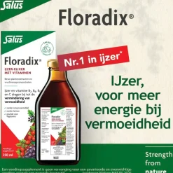 Floradix Mineralen><noscript><img width=