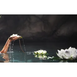 Therme Bodymist><noscript><img width=