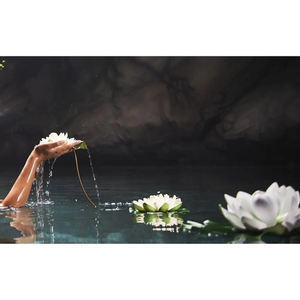 Therme Massageolie En Massagelotion>Zen White Lotus Massageolie