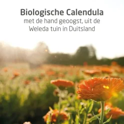 Weleda Baby Huidverzorging><noscript><img width=