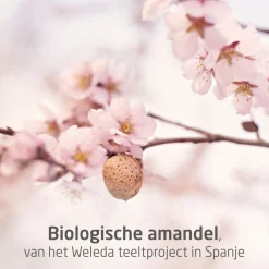 Weleda Mama Verzorgingsproducten|Bodyolie><noscript><img width=